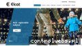 Screenshot strony www.elcat.biz