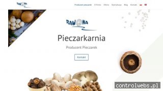 RAWONA producent boczniaków