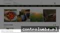 Screenshot strony naszogrodniczy.pl