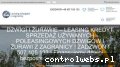 Screenshot strony leasingdzwiguzzagranicy.pl