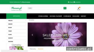 Borówka amerykańska sadzonki