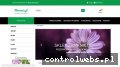 Screenshot strony floramis.pl