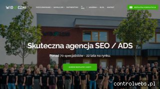 Widoczni - pozycjonowanie i wizerunek w sieci