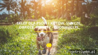 Karmy dla ptaków