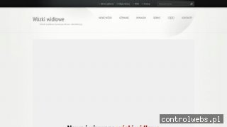 wózki widłowe naprawa i serwis