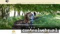 Screenshot strony www.kon.pl