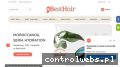 Screenshot strony besthair.pl
