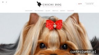 CHICHI DOG Pet Spa & Fashion Experts