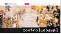Screenshot strony mixtura.com.pl