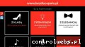 Screenshot strony www.bezdiscopolo.pl