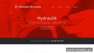 Wiesław Brzostek - Usługi hydrauliczne