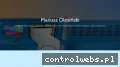 Screenshot strony wyzarzanie.pl