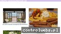 Screenshot strony oferty-gospodarcze.pl
