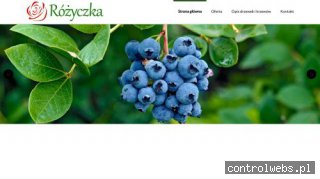www.szkolka-rozyczka.pl gospodarstwo szkółkarskie Pleszew