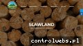 Screenshot strony www.slawland.com.pl