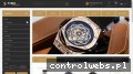 Screenshot strony timetradergroup.com