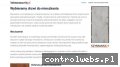 Screenshot strony hetmansecurity.pl