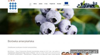 www.berrygroup.pl