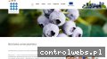 Screenshot strony www.berrygroup.pl
