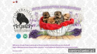 Gabinet Psich Fryzur Arystea