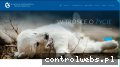 Screenshot strony wetgliwice.pl