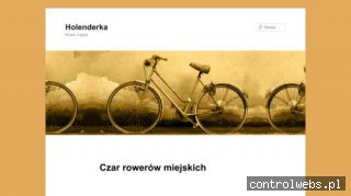 Cechy rowerów miejskich
