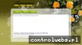 Screenshot strony www.wiazanki.cdx.pl