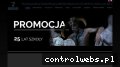 Screenshot strony dziewulscy.pl