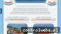 Screenshot strony www.orw-flisak.pl