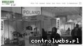 Screenshot strony www.world-expo.com.pl