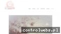 Screenshot strony www.whiteness.eu