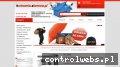 Screenshot strony hurtownia-alarmow.pl