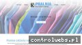 Screenshot strony www.pralniaewasandomierska.pl