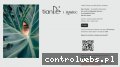 Screenshot strony tiande.com.pl