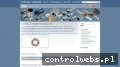 Screenshot strony lozyska-liniowe.com.pl