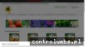 Screenshot strony www.epnos.pl