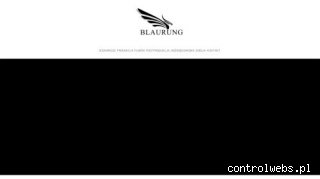 Wytwórnia filmów reklamowych Blaurung Films