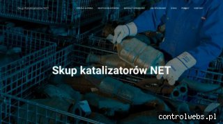 Skup Katalizatorów
