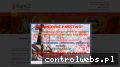 Screenshot strony kamiz24.pl