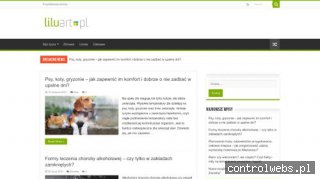 Portal internetowy liluart.pl