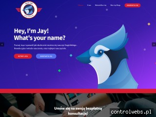 Szkoła językowa Blue Jay. Angielski Bielsko-Biała. Korki