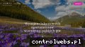 Screenshot strony vipzakopane.pl