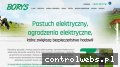 Screenshot strony www.pastuchyborys.pl