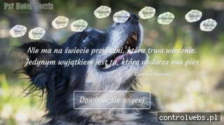 Psihotelmorris opieka nad psem Warszawa