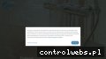 Screenshot strony wela.com.pl