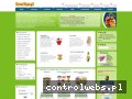 Screenshot strony www.sklep.smartoys.pl