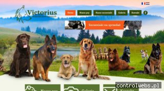 Hodowla psów - hodowlapsowrasowych.pl