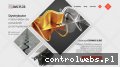 Screenshot strony dmvplus.pl