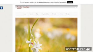 Fotograf na Ślub warmiśnko - mazurskie