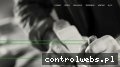 Screenshot strony evofurniture.pl